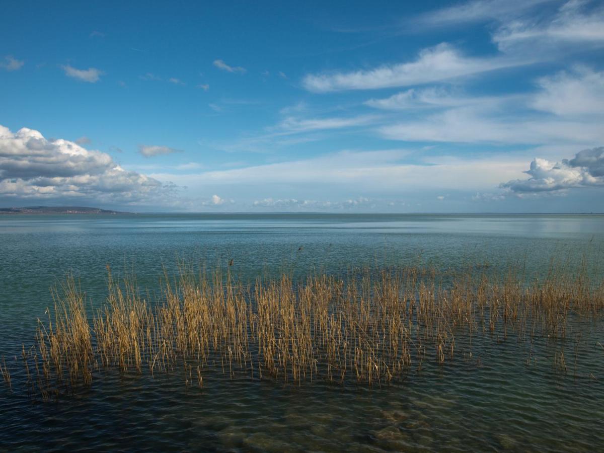 Villa Aquamarine Balatonboglár Dış mekan fotoğraf